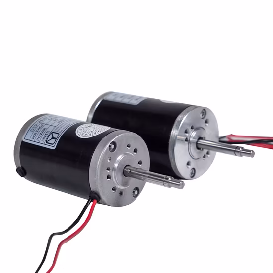 고속 12V/24V DC 모터/ DC 브러시 모터/ 헤어드라이어/마사지기/자동 도어 리프팅 시스템/냉장고 팬/배기 팬/팬 모터/ DC 펌프용 BLDC 모터